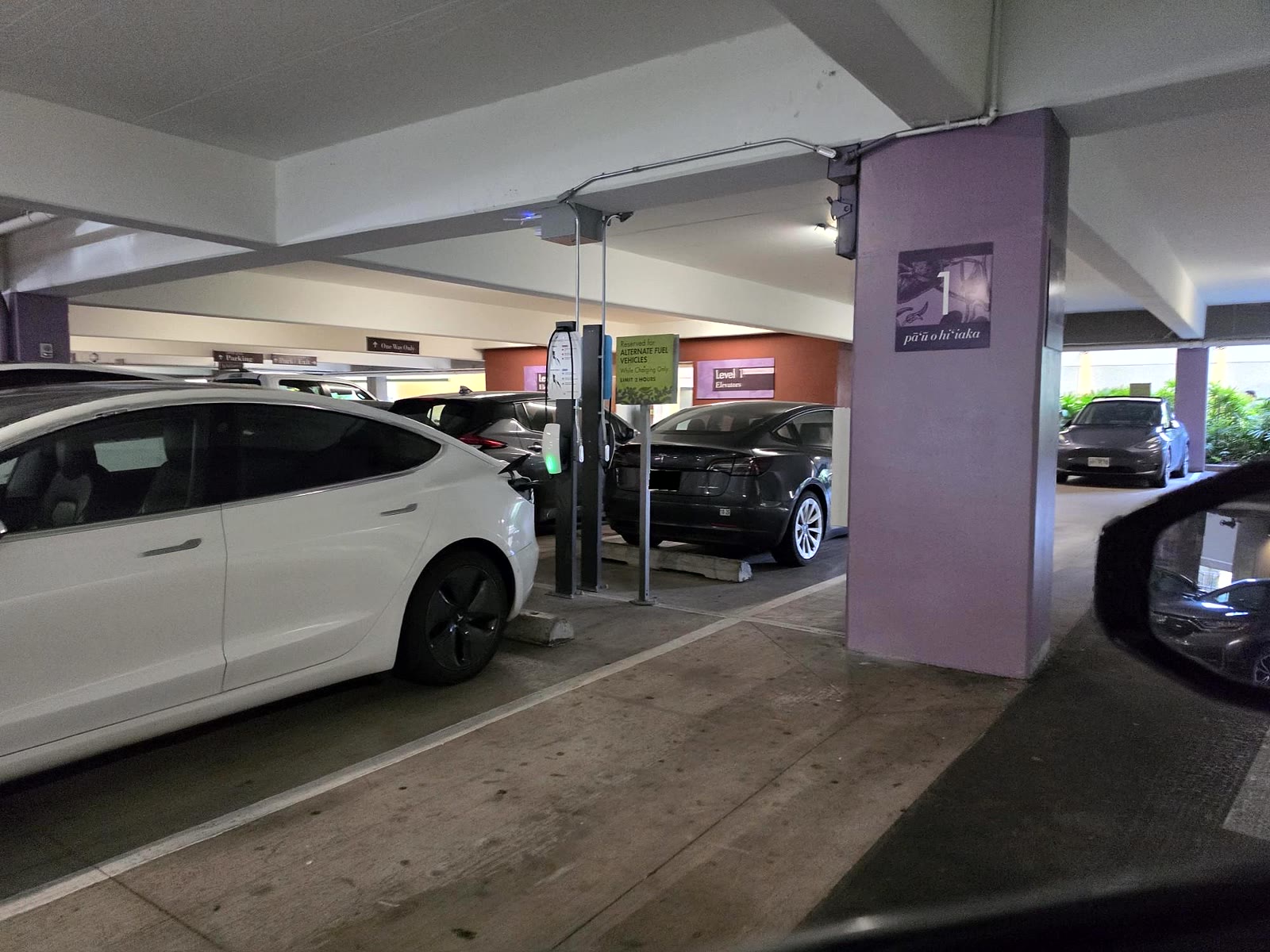 Level 2 charging pedestals with vehicles charging in the South Shore Market parking structure